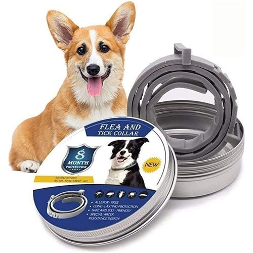 NaturalGuard - tick and flea protection collar