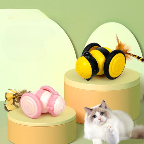 Interactive Bee Cat Toy