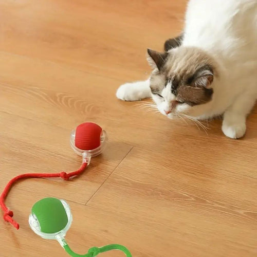 Interactive toy ball with tail for cats