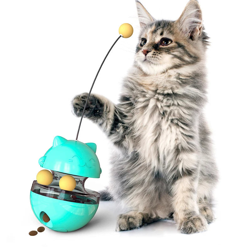 3-in-1 cat wobble toy