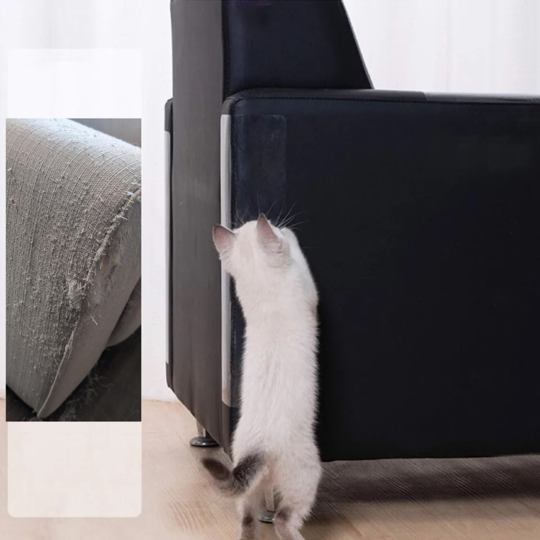 Transparent Cat Furniture - Scratch Protection